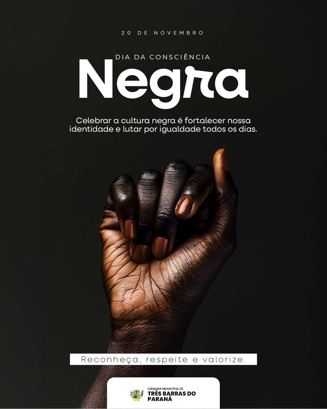 DIA 20 DE NOVEMBRO - DIA DA CONSCIÊNCIA NEGRA